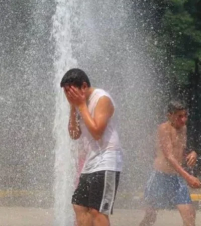 captura-de-pantalla-2023-11-26-103753-png.