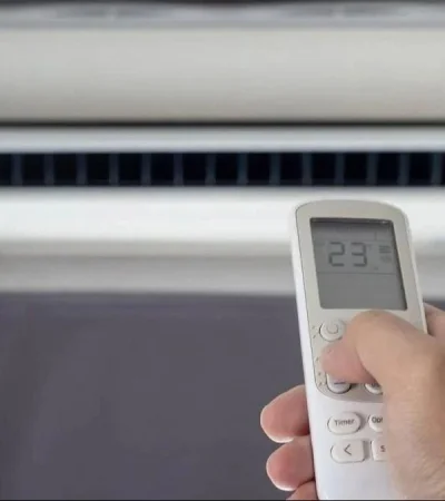 whatsapp-image-2023-11-08-at-08-24-01-jpeg.