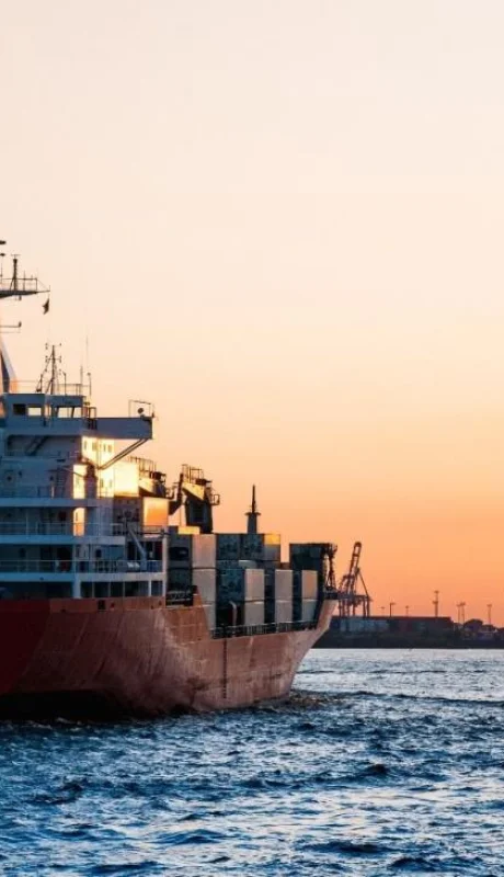 pexels-martin-damboldt-799091-jpg.