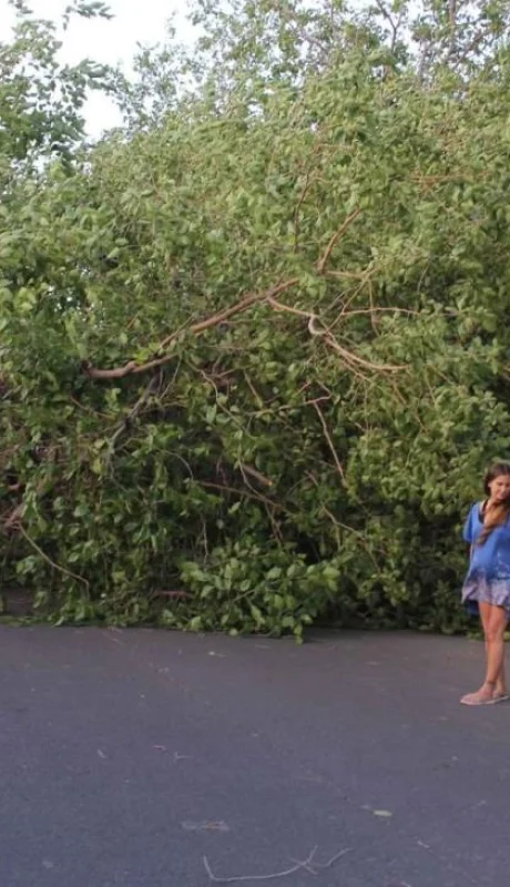 Cerca de 13 mil usuarios continúan sin luz en Mendoza