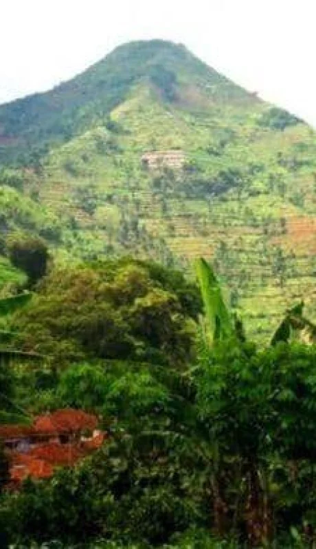 piramide-de-gunung-padang-png.