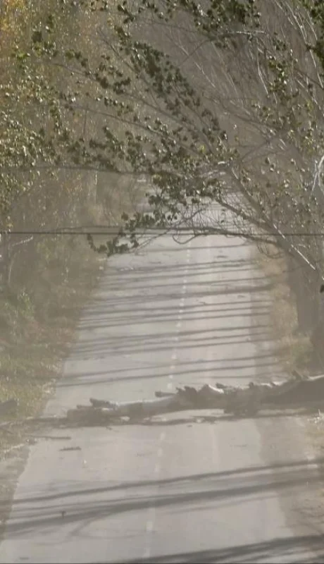 Turno tarde: suspensión de clases en Malargüe y zonas de Tupungato y Luján