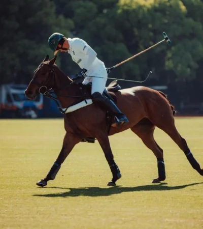 triple-corona-2023-1-jpg.