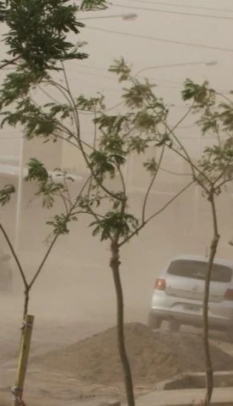 633efb3c31dbe-905-510-jpg.