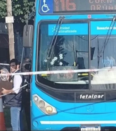 captura-de-pantalla-2023-12-03-145149-png.