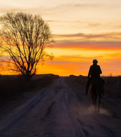 pexels-ber-guarrochena-13365795-jpg.