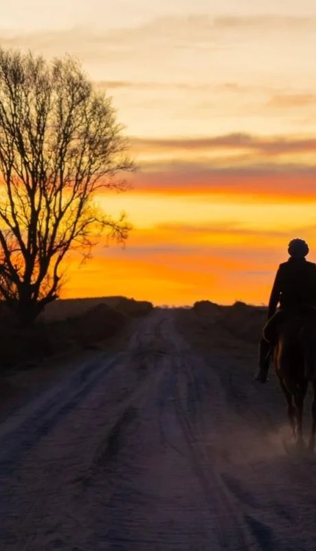 pexels-ber-guarrochena-13365795-jpg.