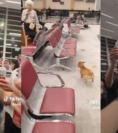 aeropuerto-brindis-pasajerosjpg-jpg.