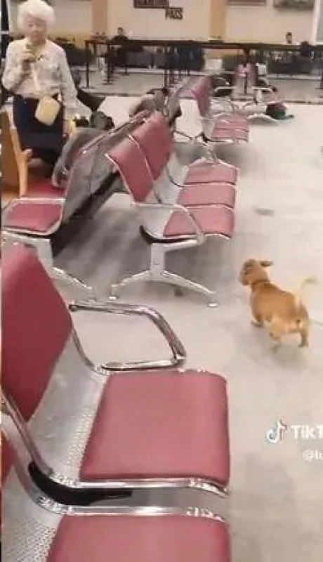 aeropuerto-brindis-pasajerosjpg-jpg.