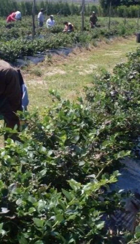 57cbd7b602448-907-510-jpg.