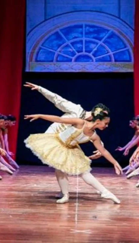 foto-4-diciembre-en-danza-jpg.