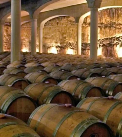 599aa15c-509d-4c33-911a-235c0d5a75c1-jpg.