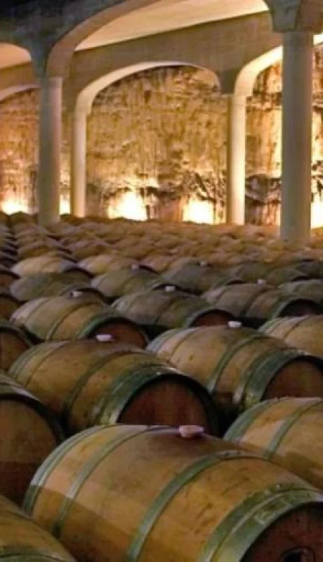 599aa15c-509d-4c33-911a-235c0d5a75c1-jpg.