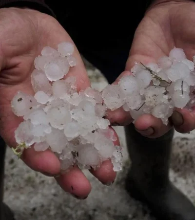 whatsapp-image-2023-12-14-at-08-05-56-jpeg.