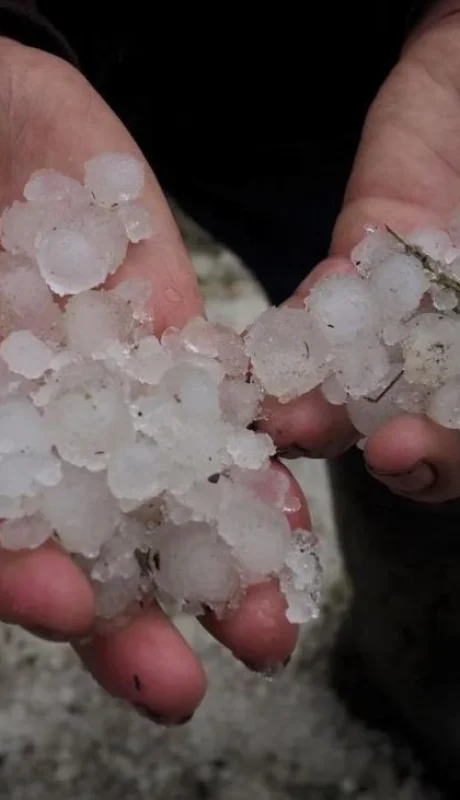 whatsapp-image-2023-12-14-at-08-05-56-jpeg.