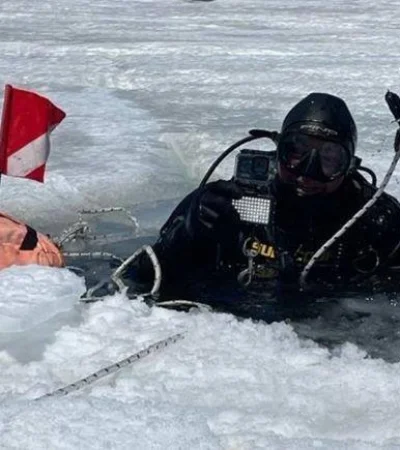 buceo-caviahuejpg-jpg.