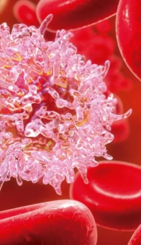 leucemia-sangre-png.