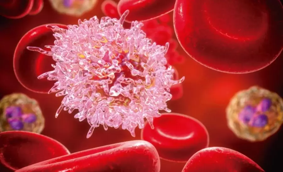 leucemia-sangre-png.