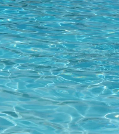 pexels-pixabay-261403-jpg.