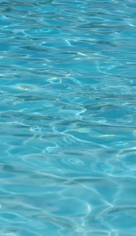 pexels-pixabay-261403-jpg.