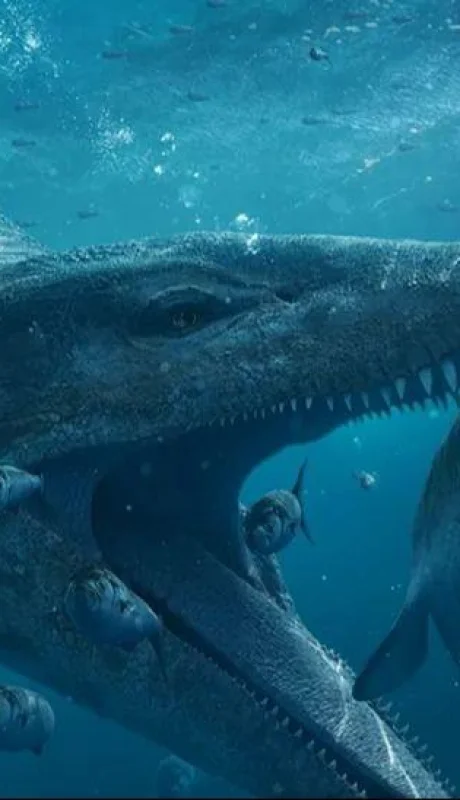 pliosaurio-restos-huesos-boca-mandibula-png.