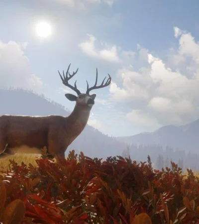 thehunter-call-of-the-wild-jpg.