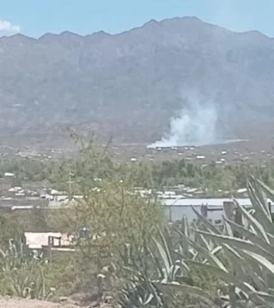 whatsapp-image-2023-12-03-at-16-03-54-1-jpeg.