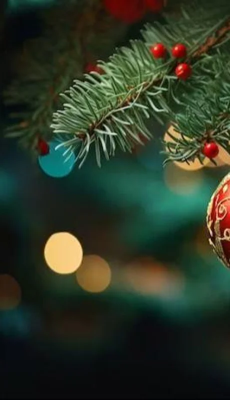 navidad-datos-curiosos-png.