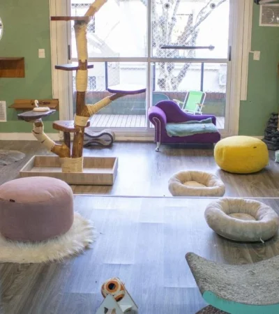 hotel-mishmosos5-scaled-jpg.