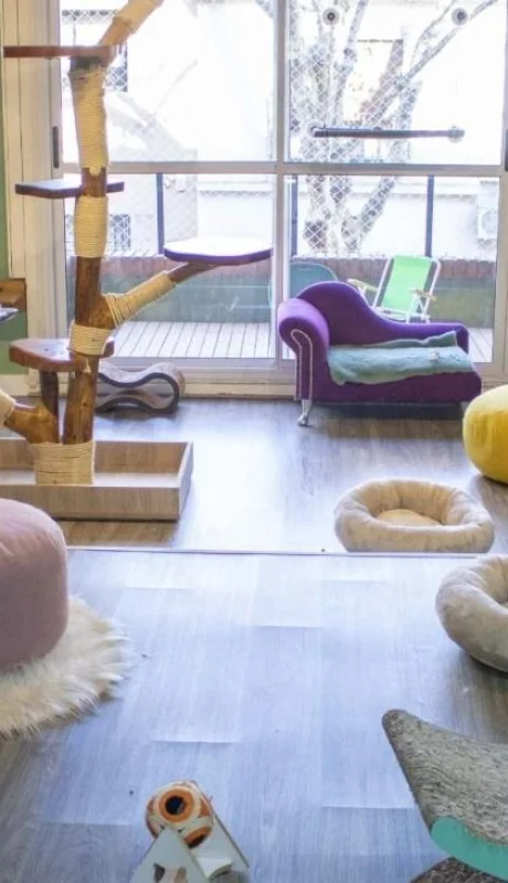 hotel-mishmosos5-scaled-jpg.