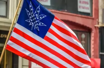 Dispensarios de cannabis neoyorkinos generaron USD150 millones