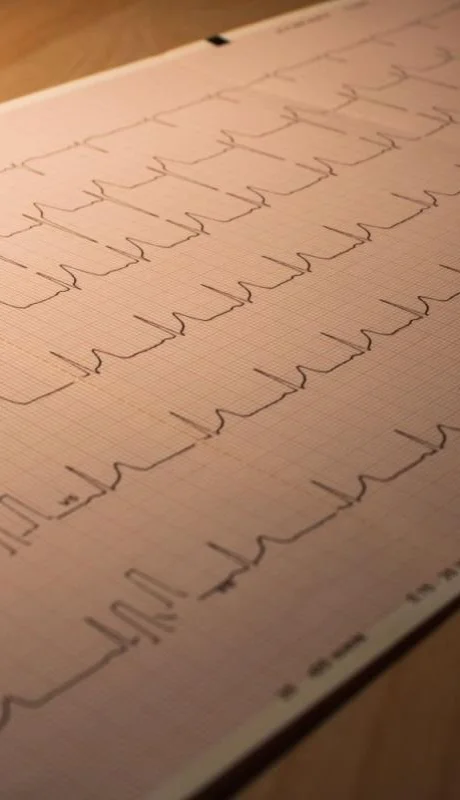 pexels-niklas-jeromin-16450237-jpg.