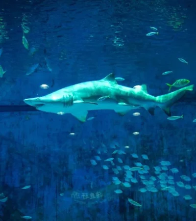 pexels-magda-ehlers-2832641-jpg.