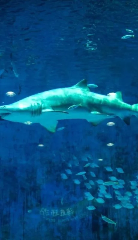 pexels-magda-ehlers-2832641-jpg.