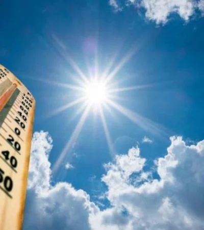 df617e72583228058b0fa06d2ec7e0c7-xl-jpg.