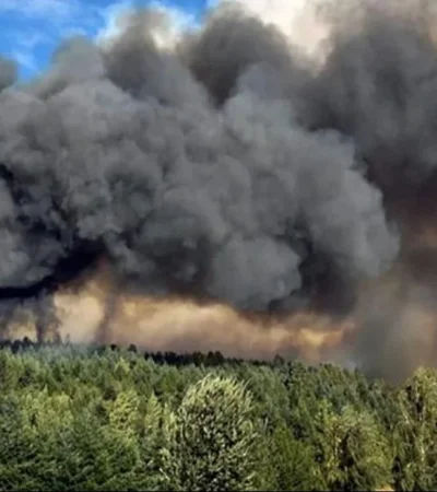 whatsapp-image-2024-01-29-at-10-37-16-jpeg.