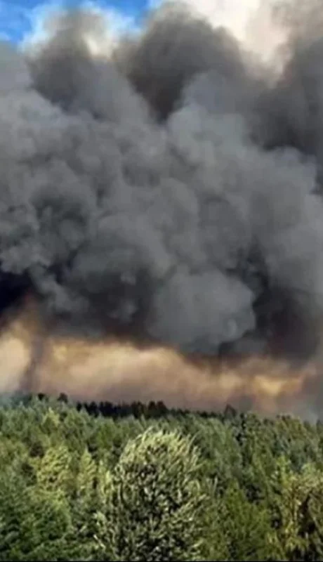 whatsapp-image-2024-01-29-at-10-37-16-jpeg.