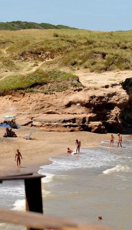 yelca6xww-1200x0-1-jpg.