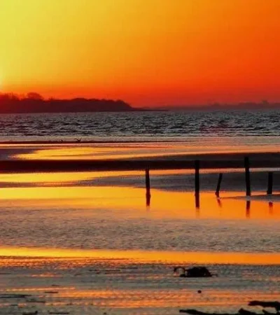 whatsapp-image-2024-01-16-at-10-49-06-jpeg.