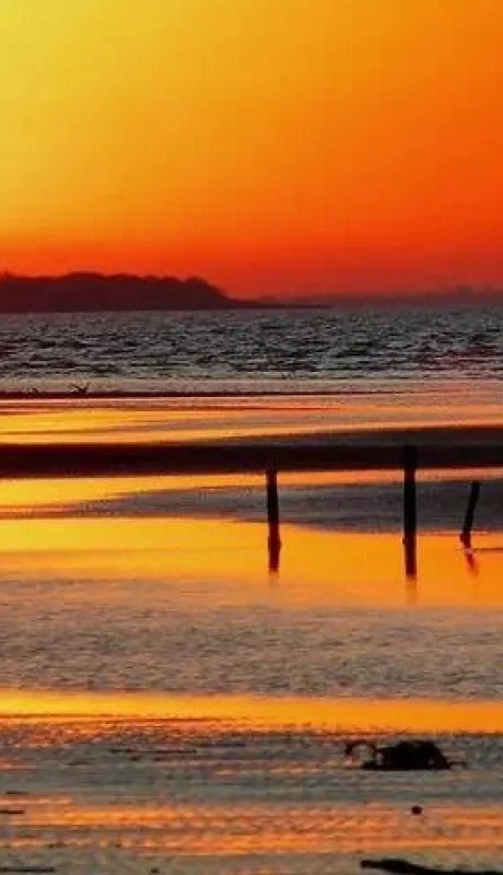 whatsapp-image-2024-01-16-at-10-49-06-jpeg.