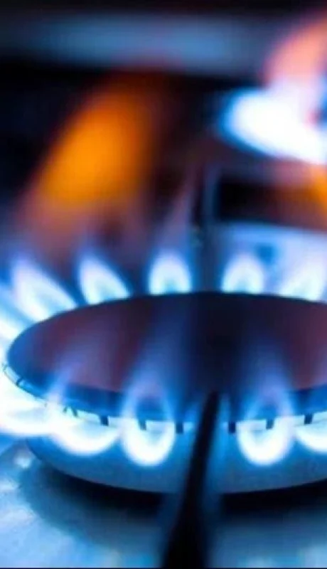 whatsapp-image-2024-01-31-at-12-21-51-jpeg.