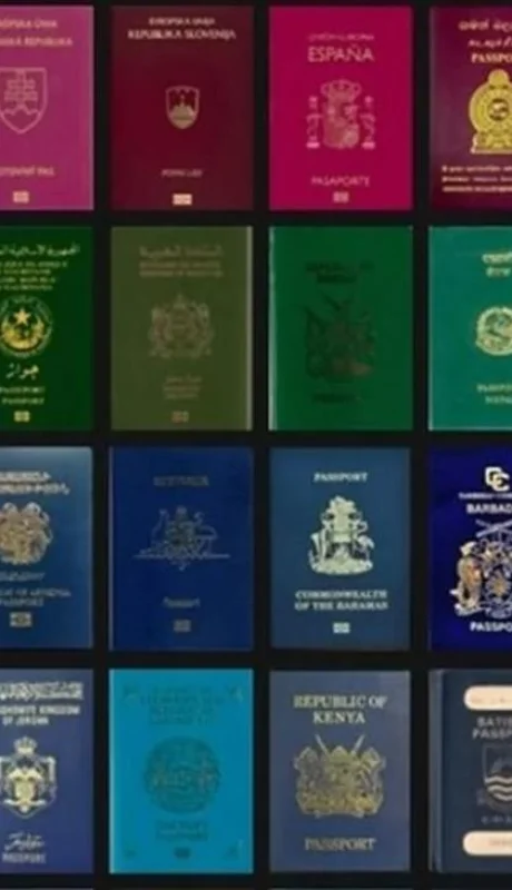pasaportes-jpg.