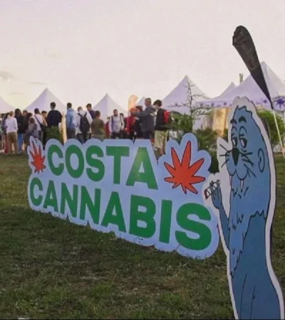 costa-cannabis-mdq-jpg.