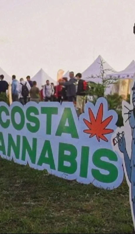 costa-cannabis-mdq-jpg.