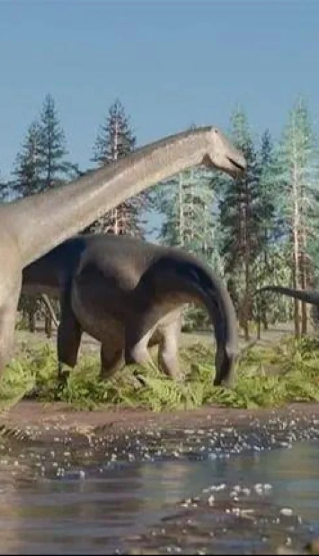 whatsapp-image-2024-01-05-at-09-53-59-jpeg.