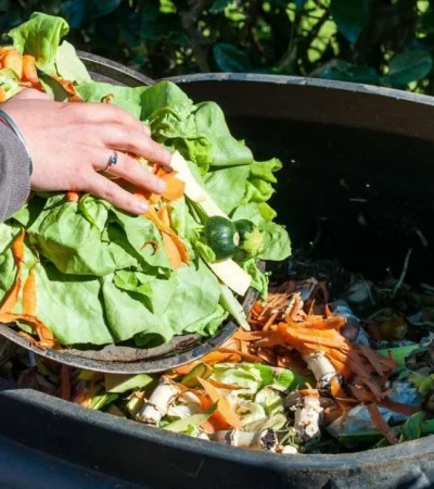 3808-1-1280-0-0-jpg.