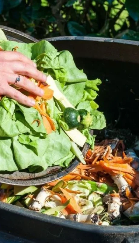 3808-1-1280-0-0-jpg.