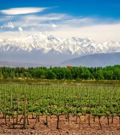 98629bc0-2ba3-47ef-8d16-744aae8f8b3a