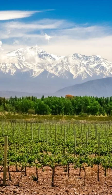 98629bc0-2ba3-47ef-8d16-744aae8f8b3a