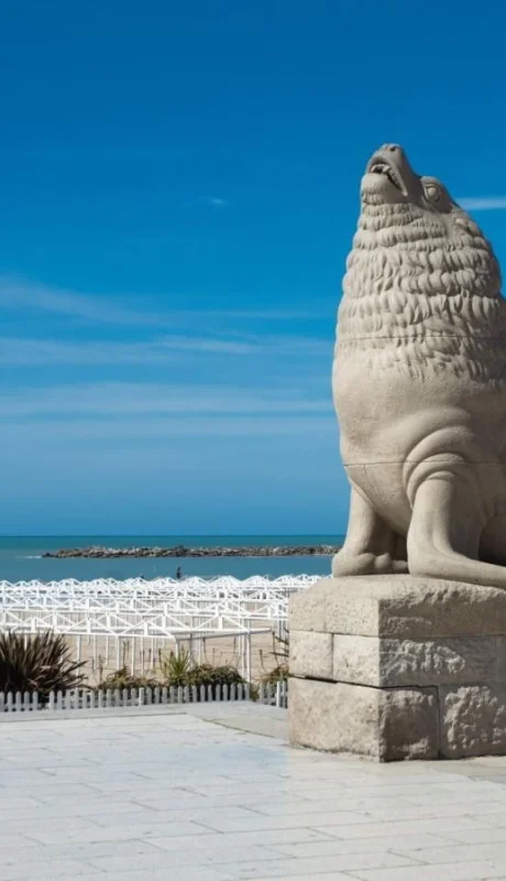 pexels-jorge-bilbao-4239487-jpg.